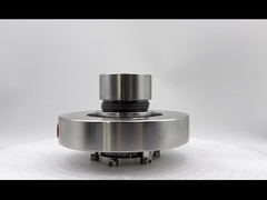 Cartuccia di carburo di silicio sigillo meccanico con sigillo secondario KALREZ e diametro dell'albero 20-100MM