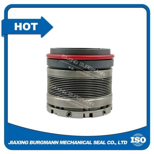 Latest company news about Mechanical Seal Market Growth Forecast